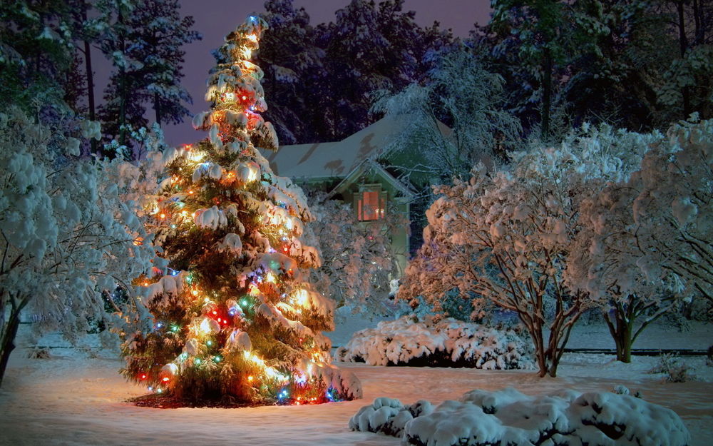 Поздравляем с Новым 2015 Годом!